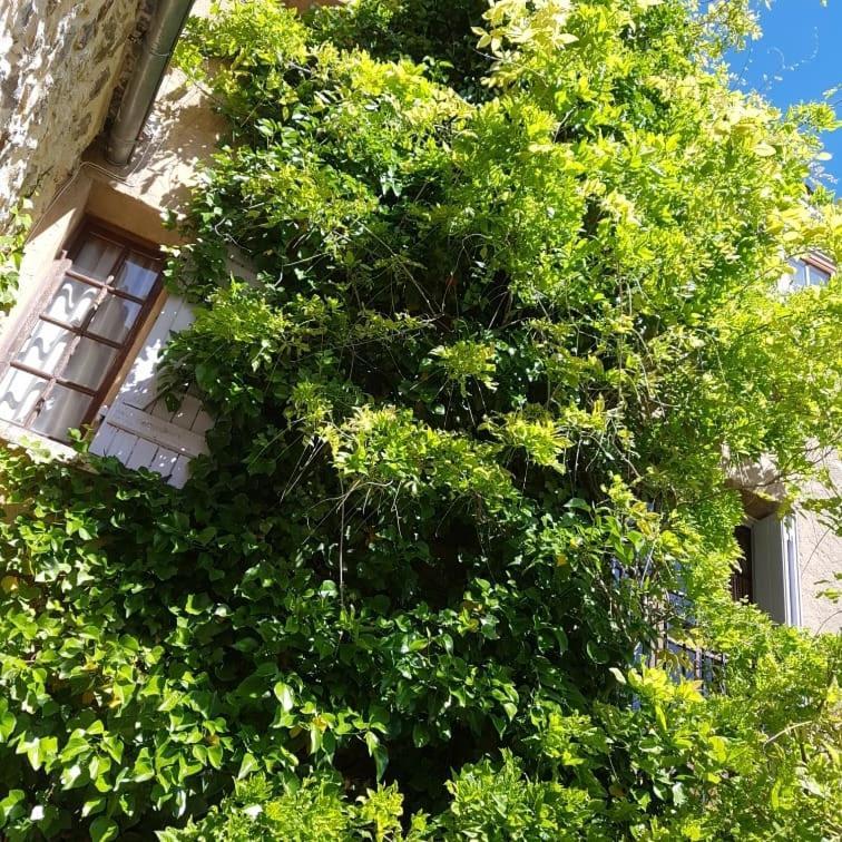 Le Balcon Apartment Camps-sur-l'Agly Bagian luar foto